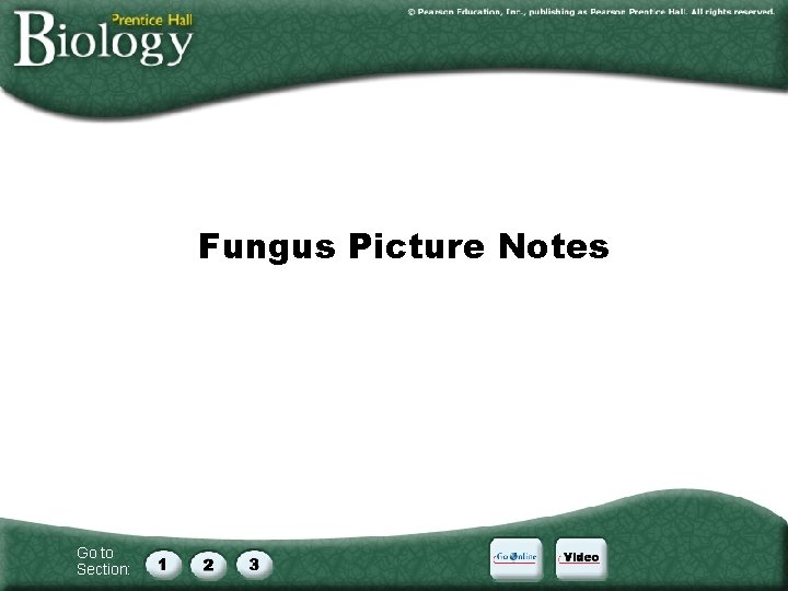 Fungus Picture Notes Go to Section: Fungus Picture Notes Go to Section: