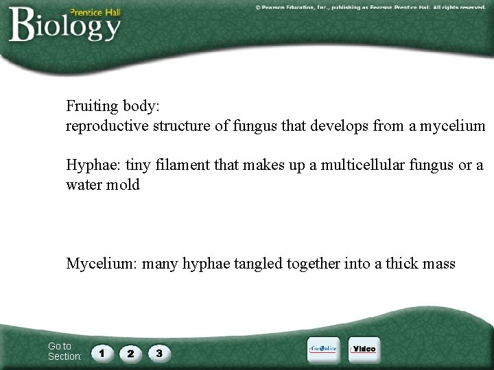 Fruiting body: reproductive structure of fungus that develops from a mycelium Hyphae: tiny filament Fruiting body: reproductive structure of fungus that develops from a mycelium Hyphae: tiny filament