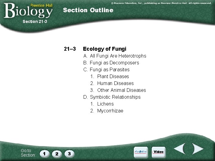 Section Outline Section 21 -3 21– 3 Ecology of Fungi A. All Fungi Are Section Outline Section 21 -3 21– 3 Ecology of Fungi A. All Fungi Are