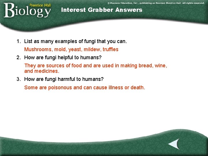 Interest Grabber Answers 1. List as many examples of fungi that you can. Mushrooms, Interest Grabber Answers 1. List as many examples of fungi that you can. Mushrooms,