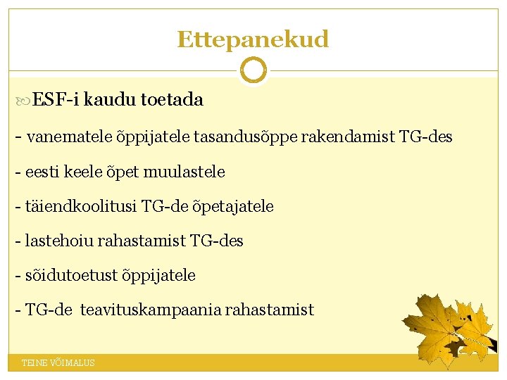 Ettepanekud ESF-i kaudu toetada - vanematele õppijatele tasandusõppe rakendamist TG-des - eesti keele õpet