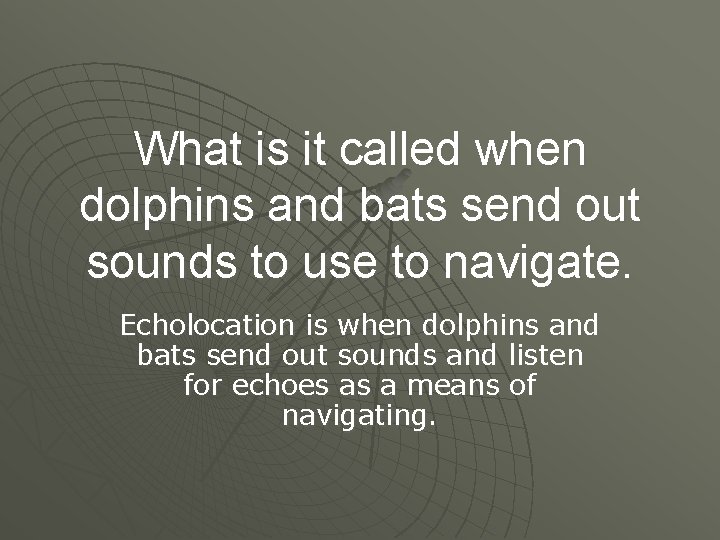 What is it called when dolphins and bats send out sounds to use to