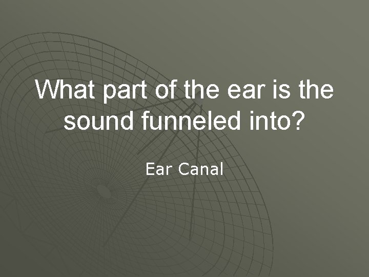 What part of the ear is the sound funneled into? Ear Canal 
