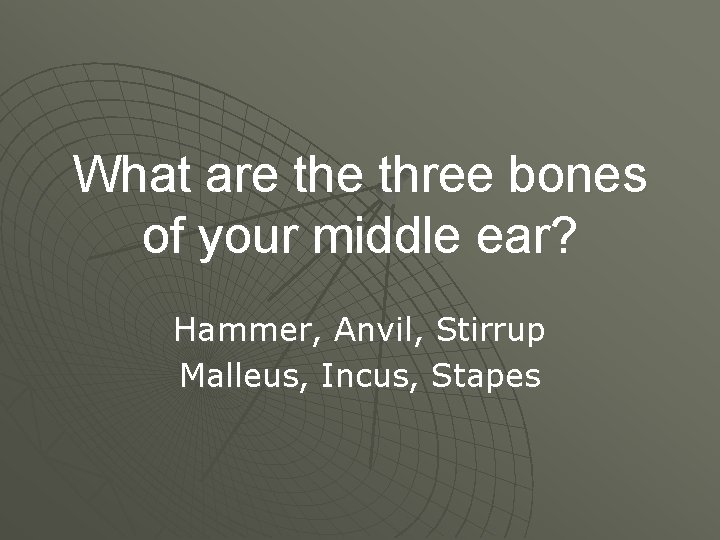 What are three bones of your middle ear? Hammer, Anvil, Stirrup Malleus, Incus, Stapes