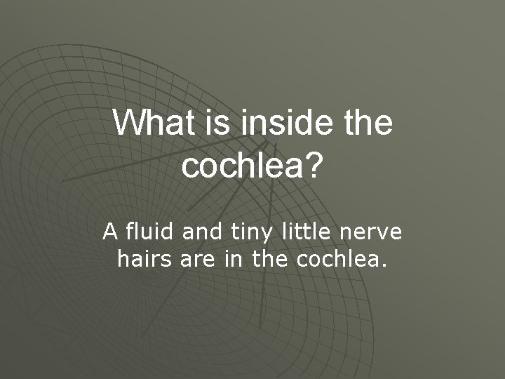 What is inside the cochlea? A fluid and tiny little nerve hairs are in
