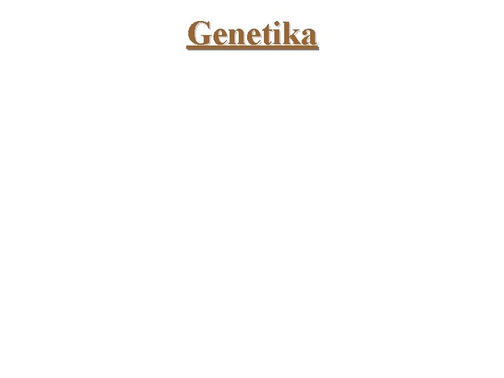 Genetika 