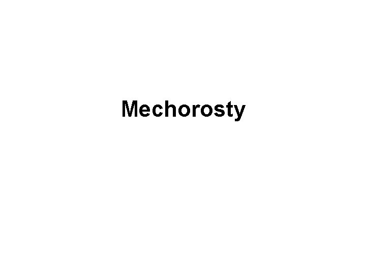 Mechorosty 