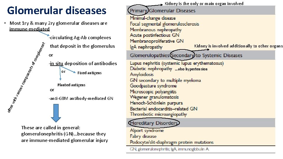 Glomerular diseases Kidney is the only or main organ involved • Most 1 ry