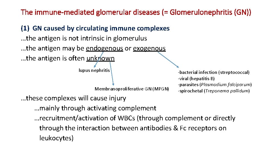 The immune-mediated glomerular diseases (= Glomerulonephritis (GN)) (1) GN caused by circulating immune complexes