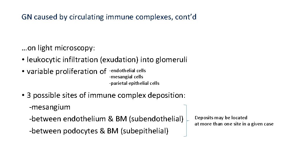 GN caused by circulating immune complexes, cont’d …on light microscopy: • leukocytic infiltration (exudation)