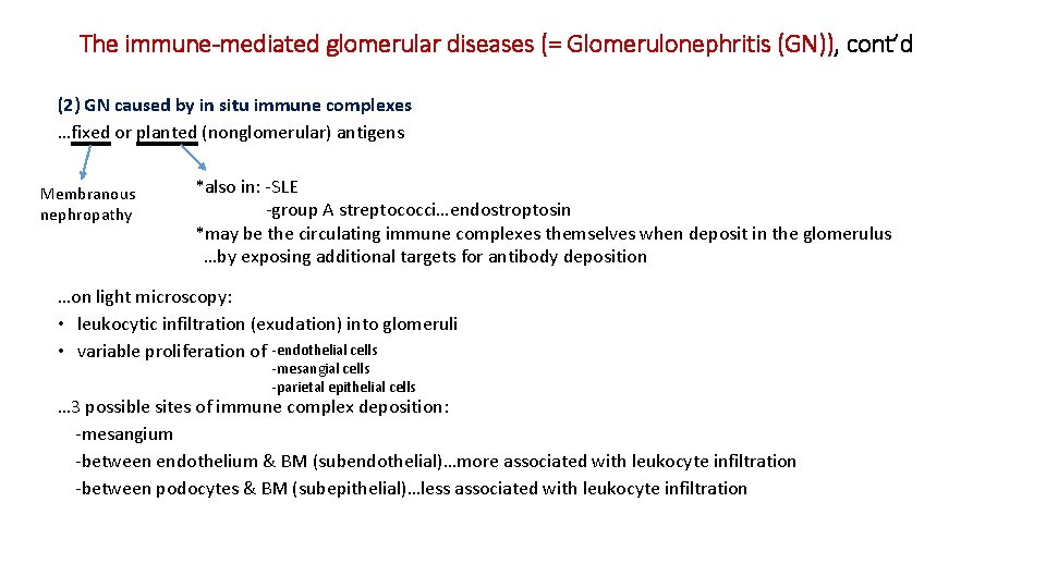 The immune-mediated glomerular diseases (= Glomerulonephritis (GN)), cont’d (2) GN caused by in situ