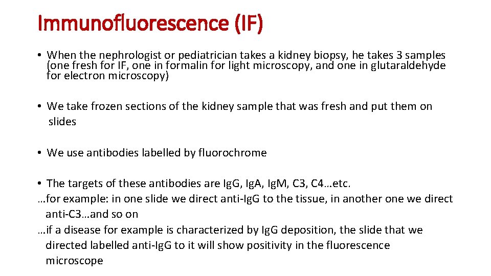 Immunofluorescence (IF) • When the nephrologist or pediatrician takes a kidney biopsy, he takes