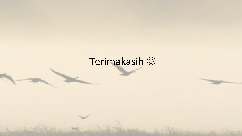 Terimakasih 