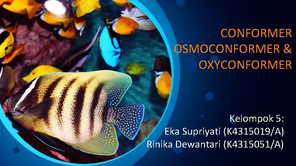 CONFORMER OSMOCONFORMER & OXYCONFORMER Kelompok 5: Eka Supriyati (K 4315019/A) Rinika Dewantari (K 4315051/A)