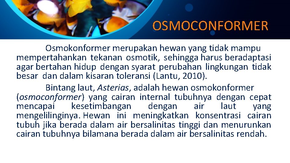 OSMOCONFORMER Osmokonformer merupakan hewan yang tidak mampu mempertahankan tekanan osmotik, sehingga harus beradaptasi agar