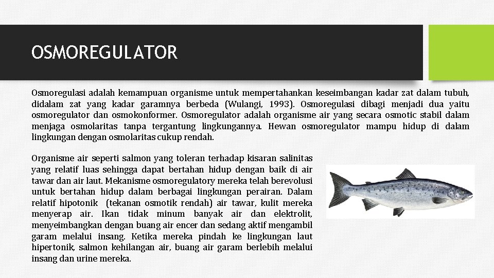 OSMOREGULATOR Osmoregulasi adalah kemampuan organisme untuk mempertahankan keseimbangan kadar zat dalam tubuh, didalam zat