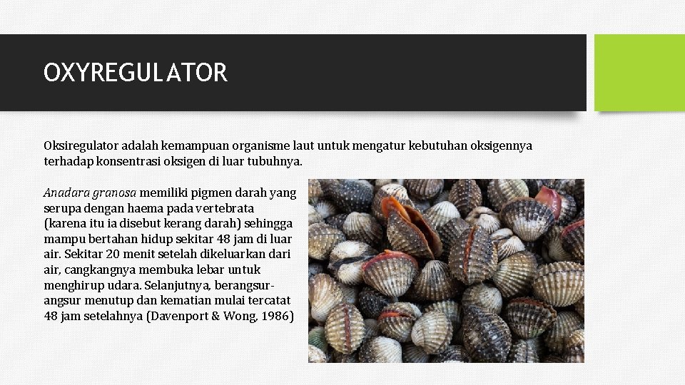 OXYREGULATOR Oksiregulator adalah kemampuan organisme laut untuk mengatur kebutuhan oksigennya terhadap konsentrasi oksigen di OXYREGULATOR Oksiregulator adalah kemampuan organisme laut untuk mengatur kebutuhan oksigennya terhadap konsentrasi oksigen di