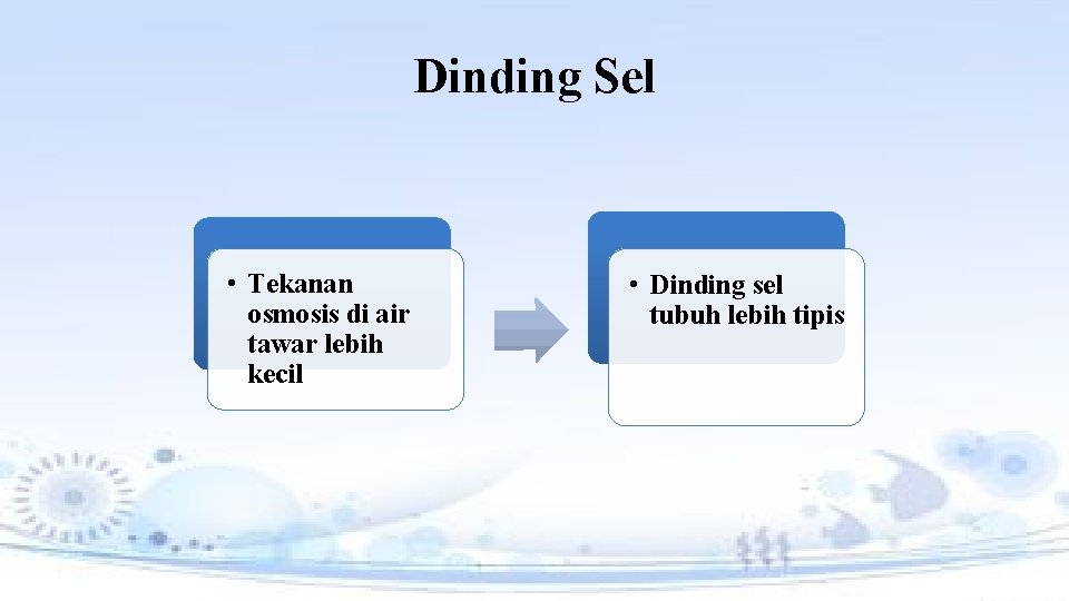 Dinding Sel • Tekanan osmosis di air tawar lebih kecil • Dinding sel tubuh