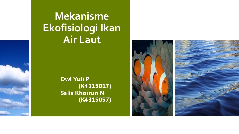 Mekanisme Ekofisiologi Ikan Air Laut Dwi Yuli P (K 4315017) Salis Khoirun N (K Mekanisme Ekofisiologi Ikan Air Laut Dwi Yuli P (K 4315017) Salis Khoirun N (K