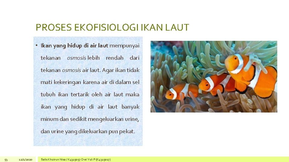 PROSES EKOFISIOLOGI IKAN LAUT • Ikan yang hidup di air laut mempunyai tekanan osmosis