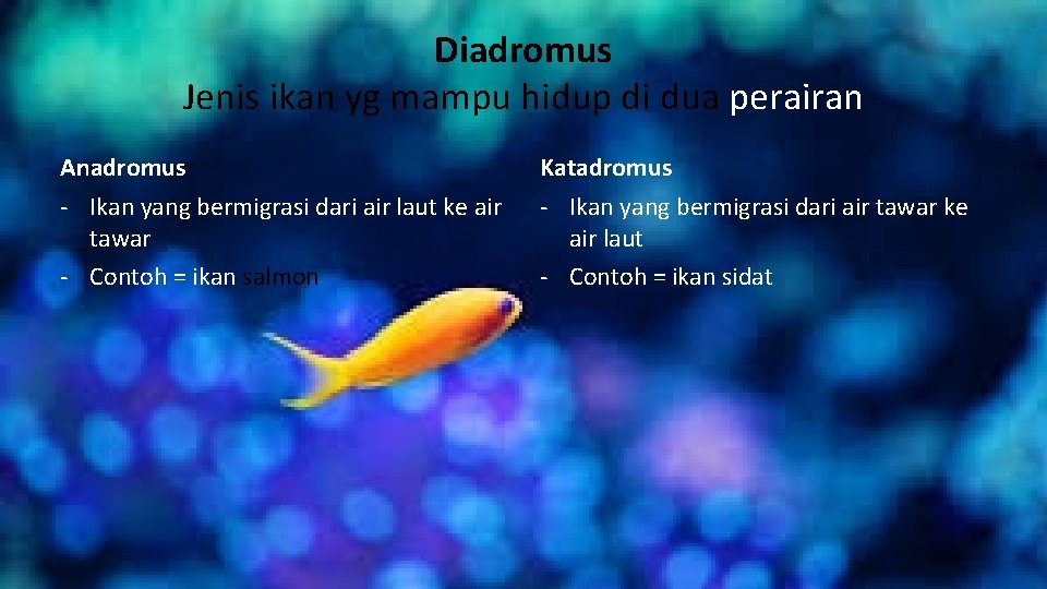 Diadromus Jenis ikan yg mampu hidup di dua perairan Anadromus Katadromus - Ikan yang