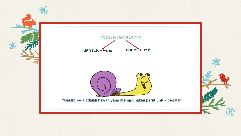 GASTROPODA? ? ? GASTER = Perut PODOS = kaki “Gastropoda adalah hewan yang menggunakan