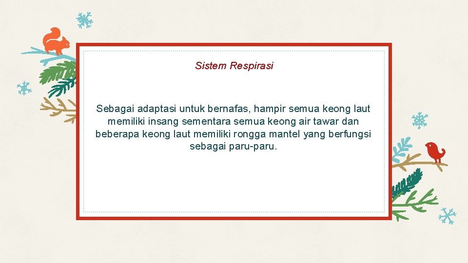 Sistem Respirasi Sebagai adaptasi untuk bernafas, hampir semua keong laut memiliki insang sementara semua