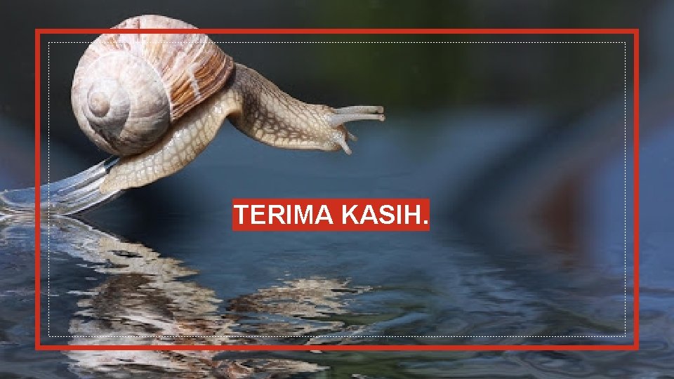 TERIMA KASIH. 