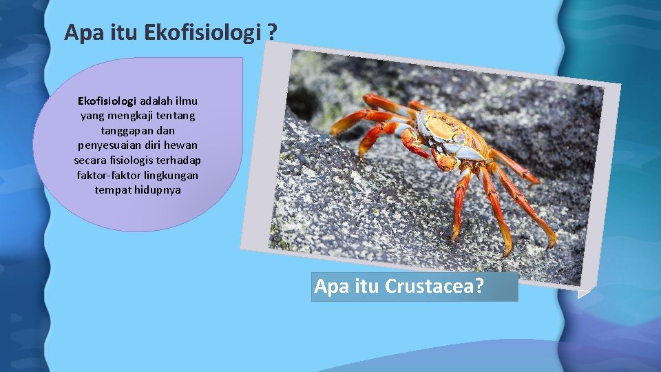 Apa itu Ekofisiologi ? Ekofisiologi adalah ilmu yang mengkaji tentanggapan dan penyesuaian diri hewan