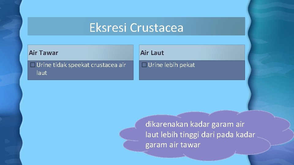 Eksresi Crustacea Air Tawar Air Laut �Urine tidak speekat crustacea air laut �Urine lebih