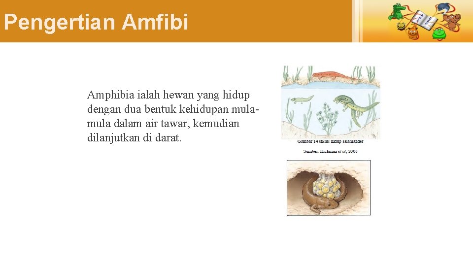 Pengertian Amfibi Amphibia ialah hewan yang hidup dengan dua bentuk kehidupan mula dalam air