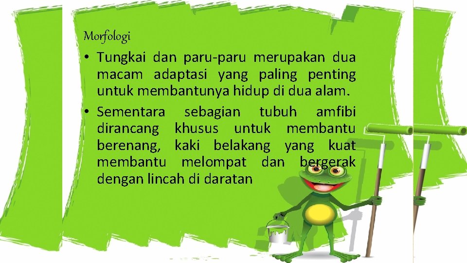 Morfologi EKOFISIOLOGI AMFIBI • Tungkai dan paru-paru merupakan dua macam adaptasi yang paling penting Morfologi EKOFISIOLOGI AMFIBI • Tungkai dan paru-paru merupakan dua macam adaptasi yang paling penting