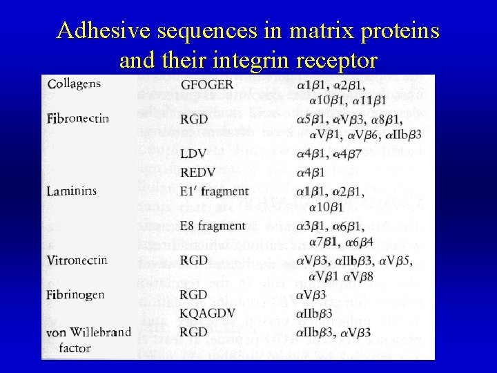 Adhesive sequences in matrix proteins and their integrin receptor 