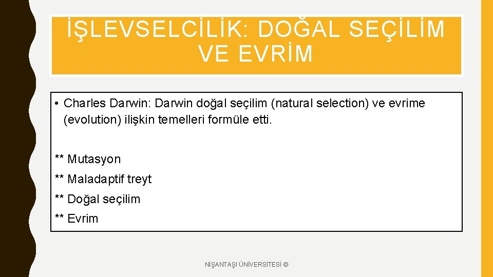 İŞLEVSELCİLİK: DOĞAL SEÇİLİM VE EVRİM • Charles Darwin: Darwin doğal seçilim (natural selection) ve
