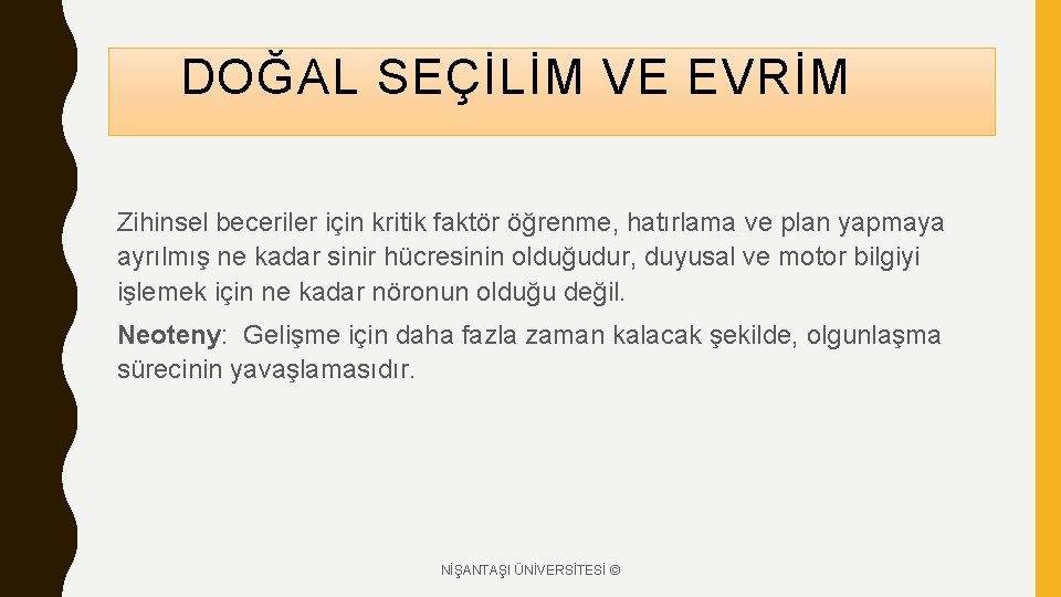 DOĞAL SEÇİLİM VE EVRİM Zihinsel beceriler için kritik faktör öğrenme, hatırlama ve plan yapmaya