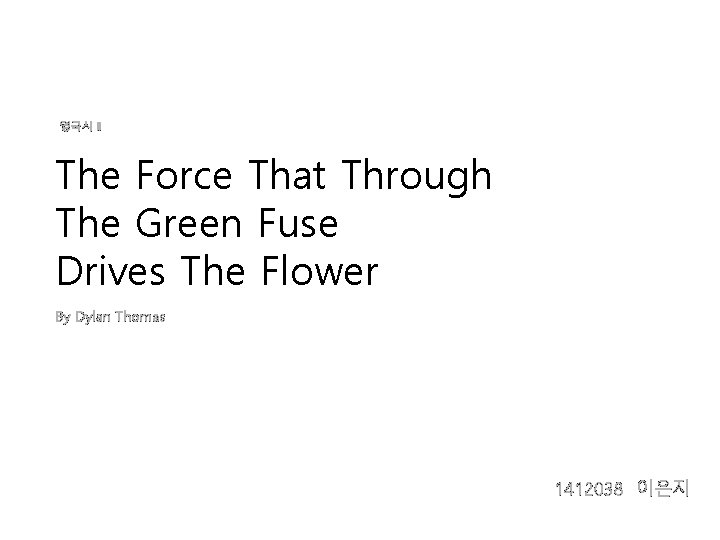 영국시 ‖ The Force That Through The Green Fuse Drives The Flower By Dylan