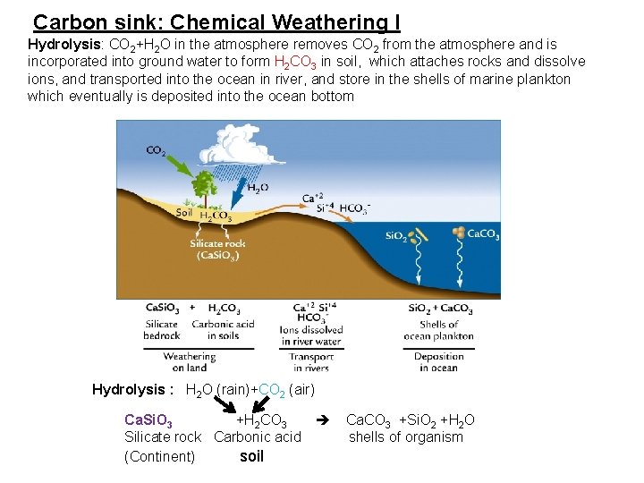 Carbon sink: Chemical Weathering I Hydrolysis: CO 2+H 2 O in the atmosphere removes