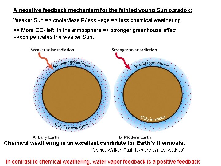 A negative feedback mechanism for the fainted young Sun paradox: Weaker Sun => cooler/less