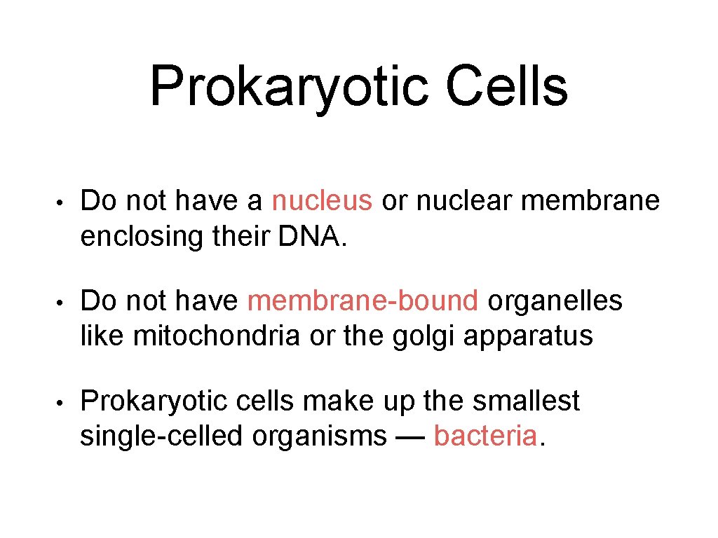 Prokaryotic Cells • Do not have a nucleus or nuclear membrane enclosing their DNA.