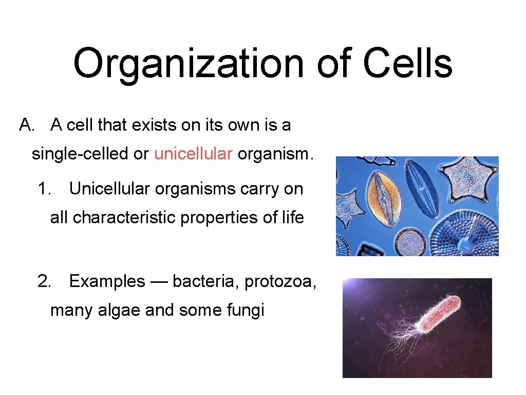 Organization of Cells A. A cell that exists on its own is a single-celled