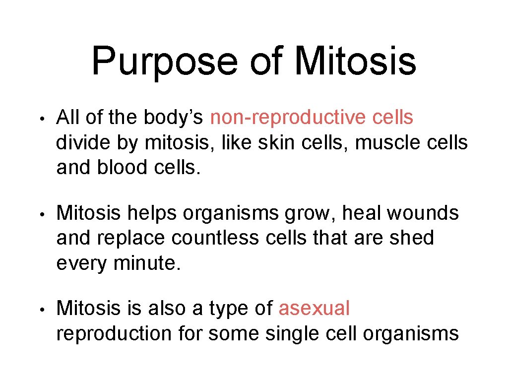 Purpose of Mitosis • All of the body’s non-reproductive cells divide by mitosis, like