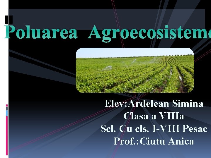 Poluarea Agroecosisteme Elev: Ardelean Simina Clasa a VIIIa Scl. Cu cls. I-VIII Pesac Prof.