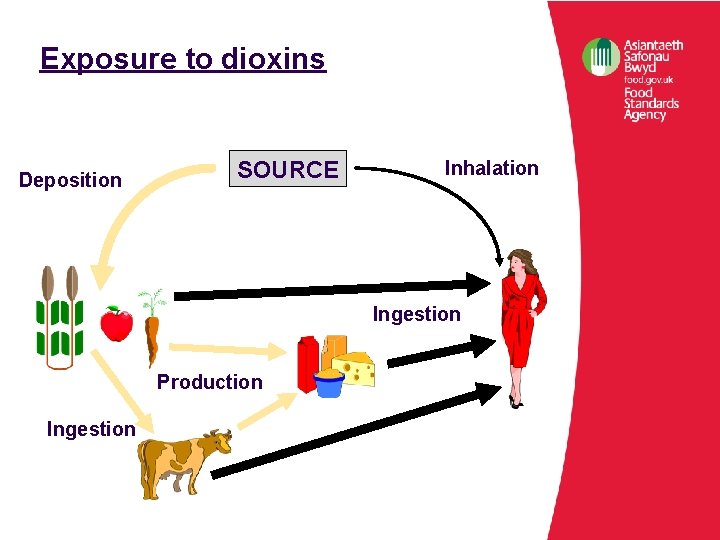 Exposure to dioxins Deposition SOURCE Inhalation Ingestion Production Ingestion 