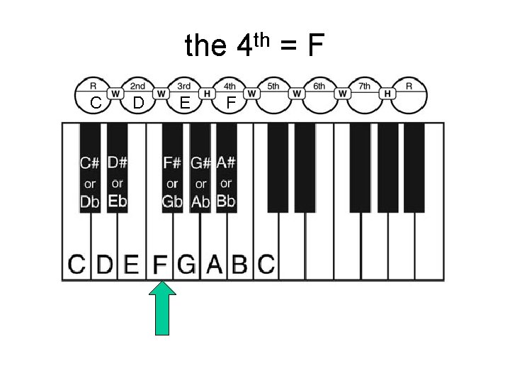 the 4 th = F C D E F 