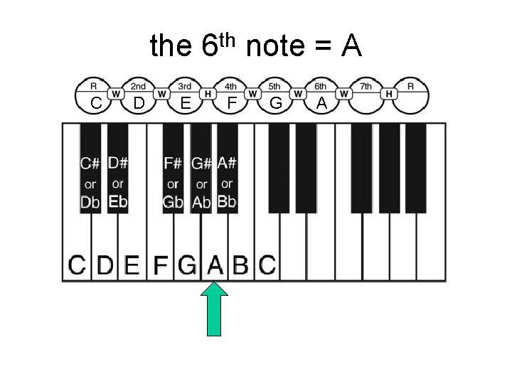 the 6 th note = A C D E F G A 