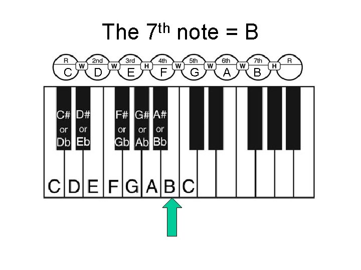 The 7 th note = B C D E F G A B 