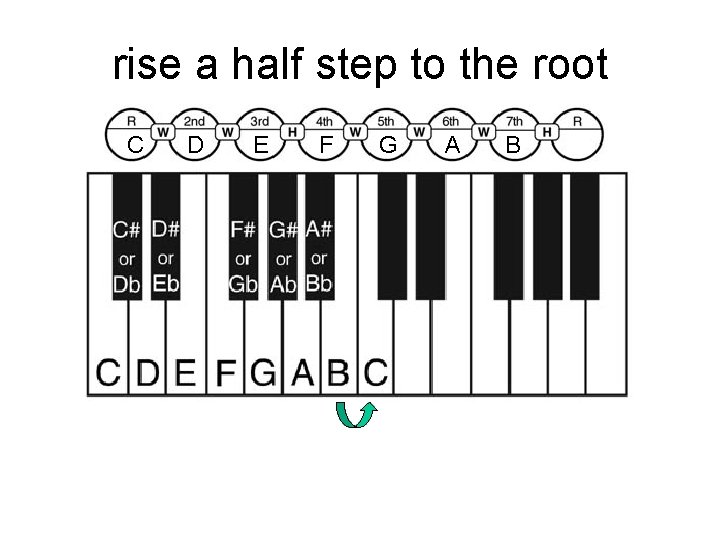 rise a half step to the root C D E F G A B