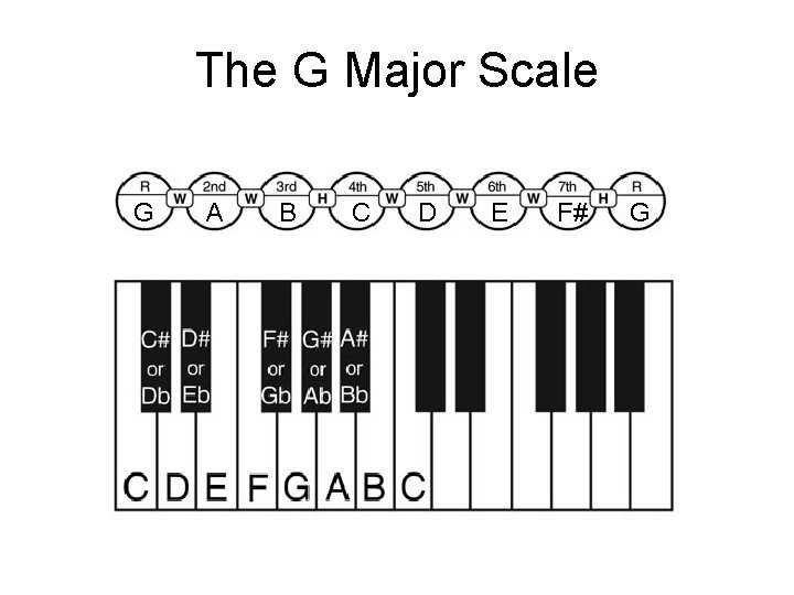The G Major Scale G A B C D E F# G 