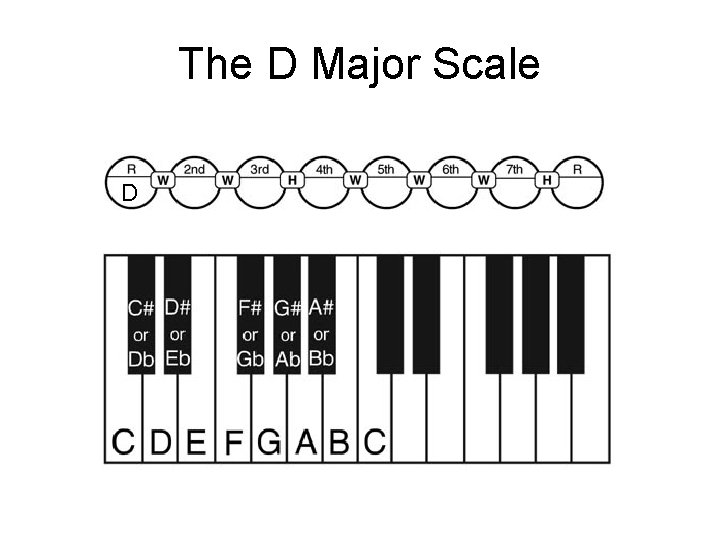 The D Major Scale D 