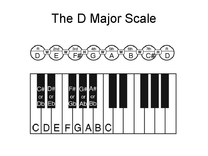 The D Major Scale D E F# G A B C# D 